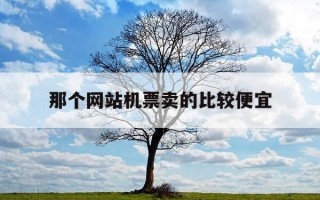 那个网站机票卖的比较便宜-哪个网址机票便宜