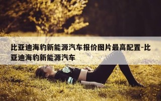 比亚迪海豹新能源汽车报价图片最高配置-比亚迪海豹新能源汽车