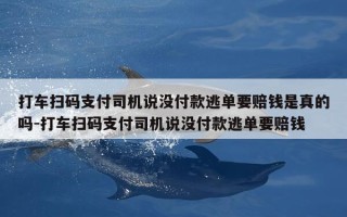 打车扫码支付司机说没付款逃单要赔钱是真的吗-打车扫码支付司机说没付款逃单要赔钱