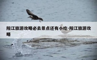 阳江旅游攻略必去景点还有小吃-阳江旅游攻略