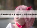 武汉去泰山怎么坐飞机-武汉到泰山旅游攻略