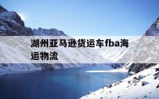 湖州亚马逊货运车fba海运物流-
