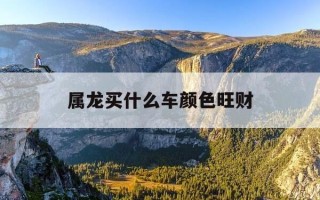 属龙买什么车颜色旺财-属龙人买车什么颜色最佳