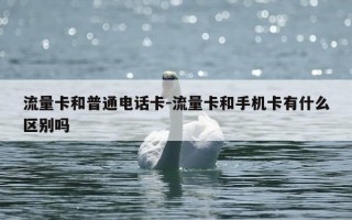 流量卡和普通电话卡-流量卡和手机卡有什么区别吗