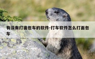 有没有打面包车的软件-打车软件怎么打面包车