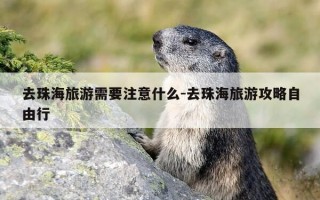 去珠海旅游需要注意什么-去珠海旅游攻略自由行