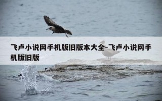 飞卢小说网手机版旧版本大全-飞卢小说网手机版旧版