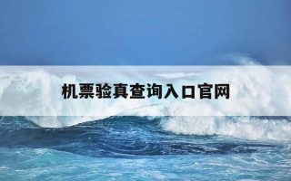 机票验真查询入口官网-机票验真查询系统