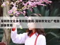 深圳市文化体育和旅游局-深圳市文化广电旅游体育局