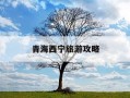 青海西宁旅游攻略-青海西宁旅游攻略路线