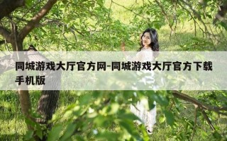 同城游戏大厅官方网-同城游戏大厅官方下载手机版