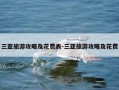 三亚旅游攻略及花费表-三亚旅游攻略及花费