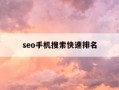 seo手机搜索快速排名-手机搜索引擎排名情况