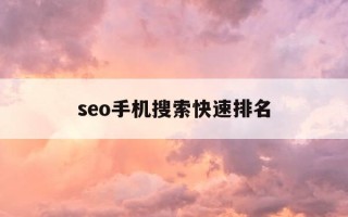 seo手机搜索快速排名-手机搜索引擎排名情况