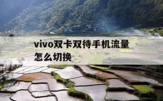 vivo双卡双待手机流量怎么切换-vivo手机双卡流量如何切换