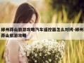 郴州莽山旅游攻略汽车遥控器怎么对拷-郴州莽山旅游攻略