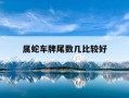 属蛇车牌尾数几比较好-属蛇车牌号码吉凶数字
