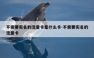 不需要实名的流量卡是什么卡-不需要实名的流量卡