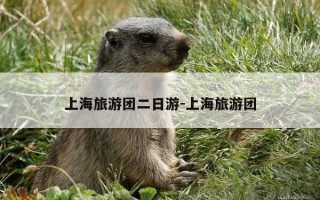 上海旅游团二日游-上海旅游团