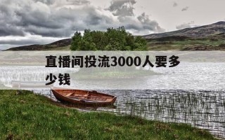 直播间投流3000人要多少钱-500人直播间流量多少钱