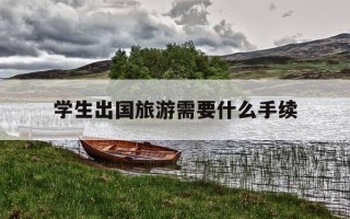 学生出国旅游需要什么手续-学生出去旅游需要准备什么东西