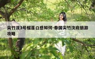 尖竹汶3号榴莲口感如何-泰国尖竹汶府旅游攻略