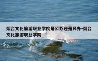 烟台文化旅游职业学院是公办还是民办-烟台文化旅游职业学院