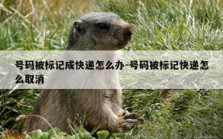 号码被标记成快递怎么办-号码被标记快递怎么取消