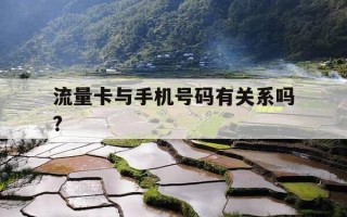 流量卡与手机号码有关系吗?-流量卡手机卡区别