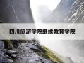四川旅游学院继续教育学院-四川旅游学院继续教育学院院长是一个谁
