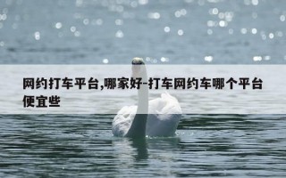 网约打车平台,哪家好-打车网约车哪个平台便宜些