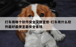 打车用哪个软件安全又便宜些-打车用什么软件最好最便宜最安全省钱