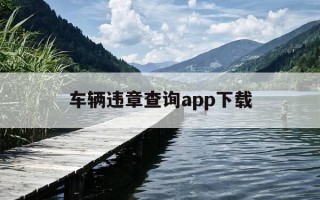 车辆违章查询app下载-车辆违章查询下载软件