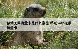 移动无限流量卡是什么意思-移动wap无限流量卡