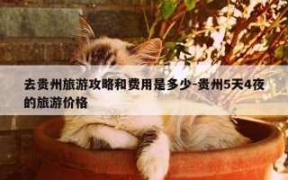 去贵州旅游攻略和费用是多少-贵州5天4夜的旅游价格