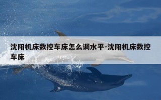 沈阳机床数控车床怎么调水平-沈阳机床数控车床