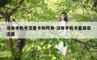 没有手机号流量卡如何用-没有手机卡直接买流量