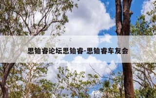 思铂睿论坛思铂睿-思铂睿车友会