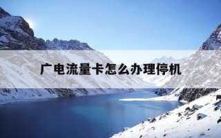 广电流量卡怎么办理停机-广电网络流量套餐