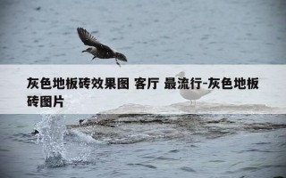 灰色地板砖效果图 客厅 最流行-灰色地板砖图片