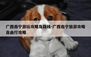 广西南宁游玩攻略及路线-广西南宁旅游攻略自由行攻略