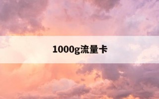 1000g流量卡-1000G流量卡