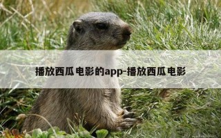 播放西瓜电影的app-播放西瓜电影