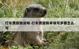 打车费报销说明-打车费报销单填写步骤怎么写
