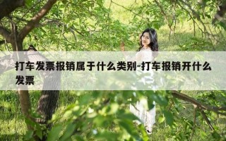 打车发票报销属于什么类别-打车报销开什么发票