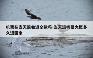 机票在当天退会退全款吗-当天退机票大概多久退回来