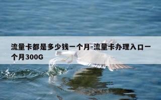 流量卡都是多少钱一个月-流量卡办理入口一个月300G
