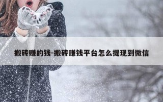 搬砖赚的钱-搬砖赚钱平台怎么提现到微信