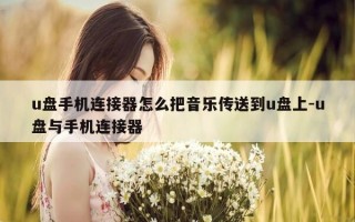 u盘手机连接器怎么把音乐传送到u盘上-u盘与手机连接器