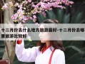 十二月份去什么地方旅游最好-十二月份去哪里旅游比较好